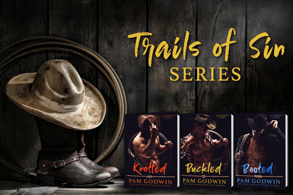 Trails of Sin series by Pam Godwin